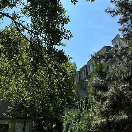 In Cracow Kraków
