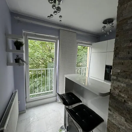 In Cracow Apartment
